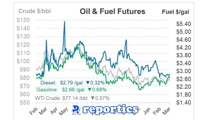 تحلیل قیمت در پلتس