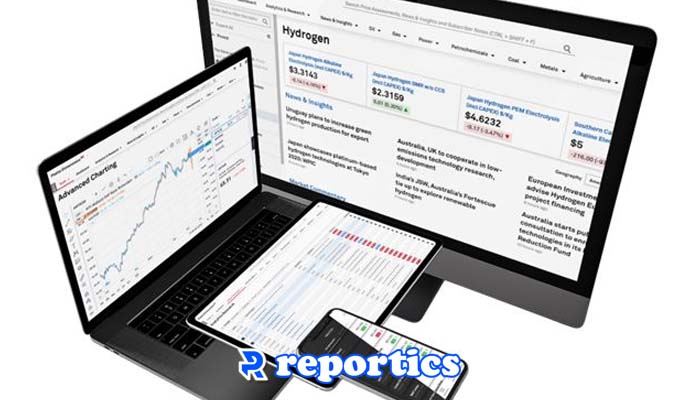 گزارش بازار جهانی پلتس