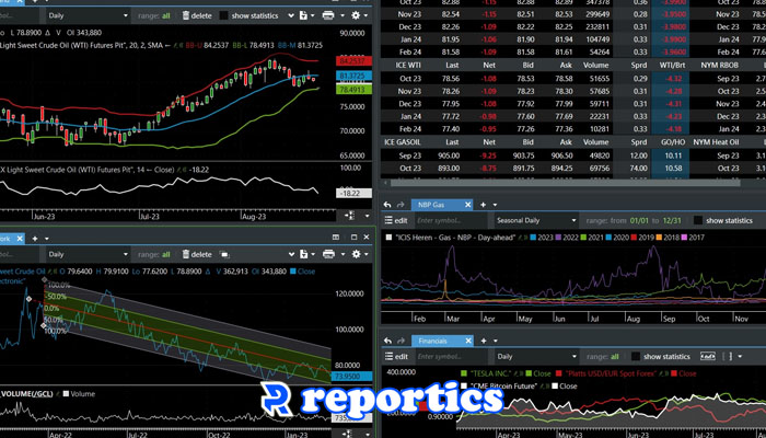 استراتژی ترید با پلتس